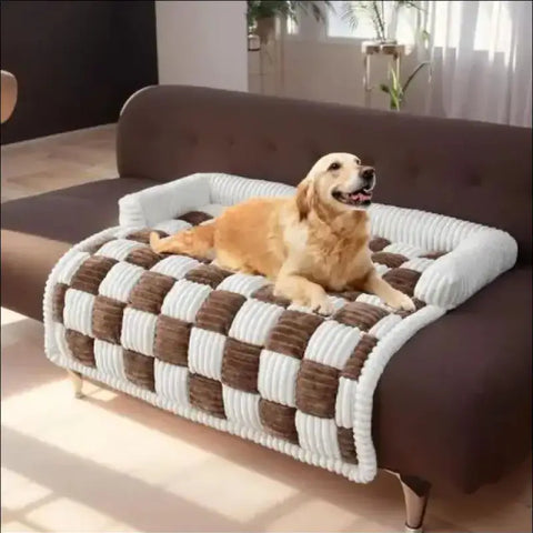Couch cover Antimanchas para mascotas en check marrón y blanco con un Golden Retriever
