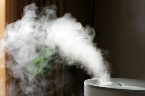 Humidificadores