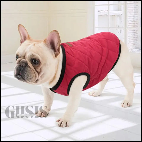 French Bulldog con cálido abrigo rojo, ideal para mascotas en otoño e invierno